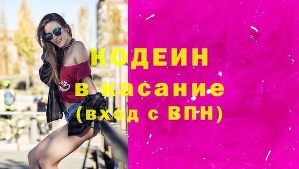 индика Армянск