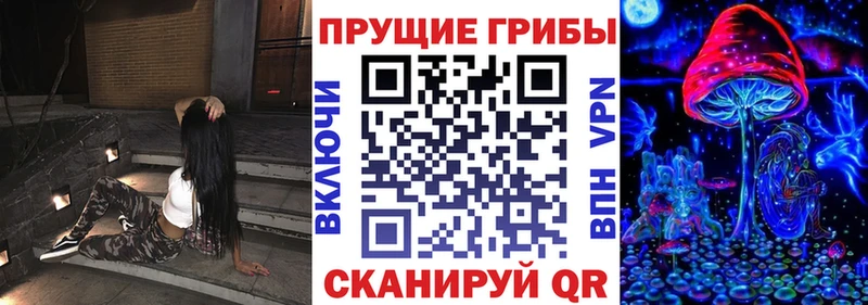 Псилоцибиновые грибы Cubensis  ссылка на мегу ссылка  Усть-Кут  где найти наркотики 